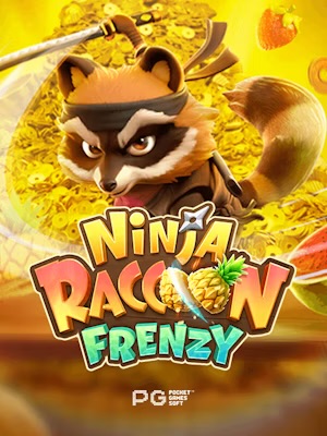 Ninja Raccoon